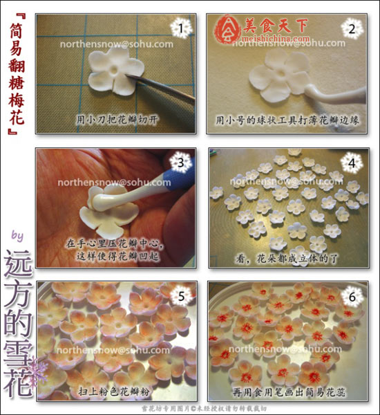 梅花两弄 (翻糖梅花蛋糕两款) + 爱心蛋糕