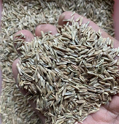 绿牧天下
