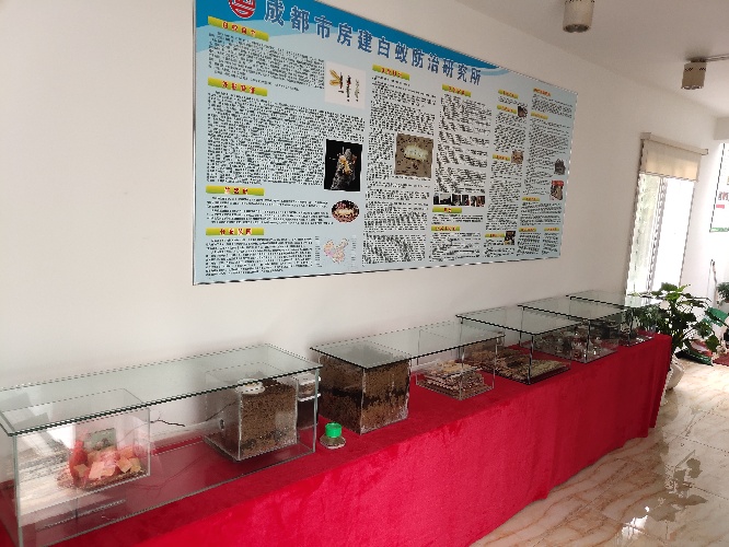 成都市房建白蚁防治( 官网：www.119by.com 联系电话：028-85244496)研究所