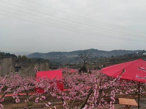 龙泉驿区今生有园( 联系电话：15928992819)农家乐店