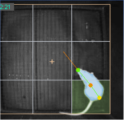 成都市汇众天智( 官网：https://hztzai.com 联系电话：028-62297708 邮箱地址：cdljy@hztzai.com)科技有限责任公司