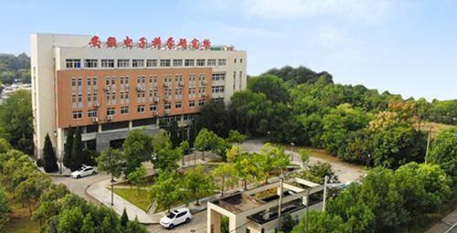 安徽电子科学