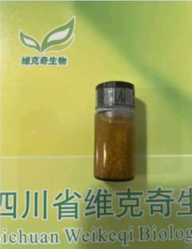 维克奇