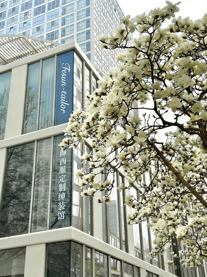 1775725397157539.jpg 国贸 4.jpg