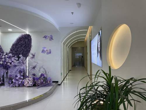 椒江芙丽雅