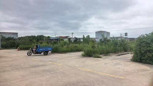 顺达驾驶