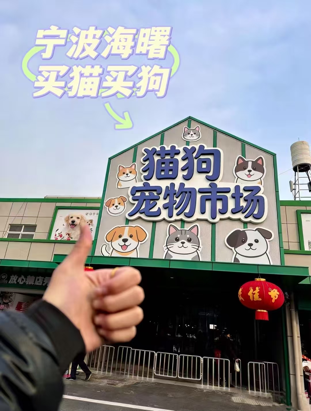 宠汪宠喵