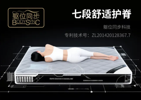 1778675845473392.png 臻承床垫2.png