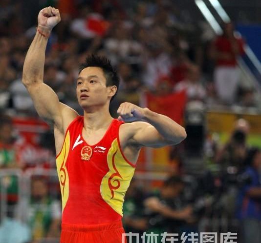 迈克尔·菲尔普斯_菲尔普斯收入