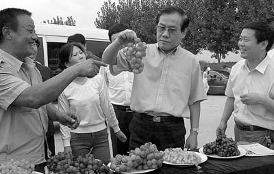 董经纬:新竞争赢先机为十七大献礼_xtxcm.com