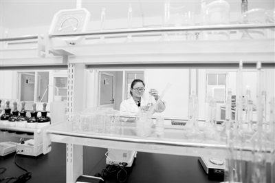 南和县推动宠物食品产业升级