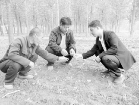 邢台县南石门镇周公村党支部一班人为群众增加